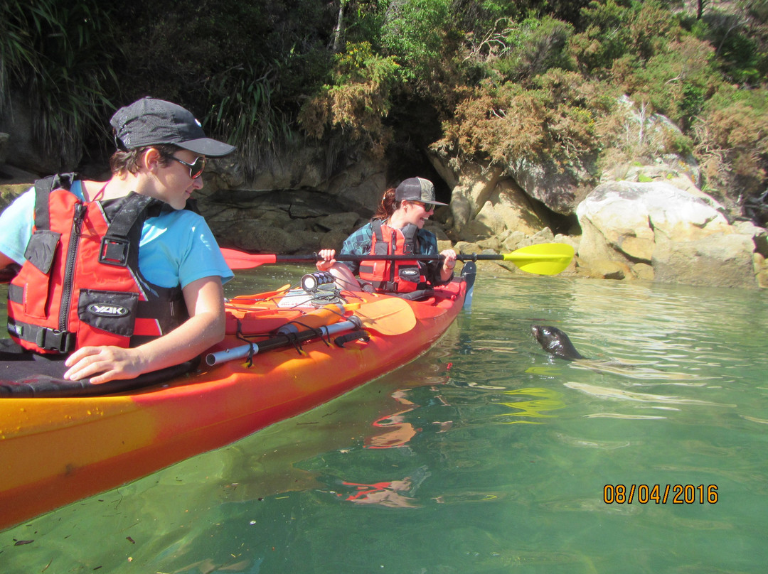 Tasman Bay Sea Kayaking Adventures景点图片
