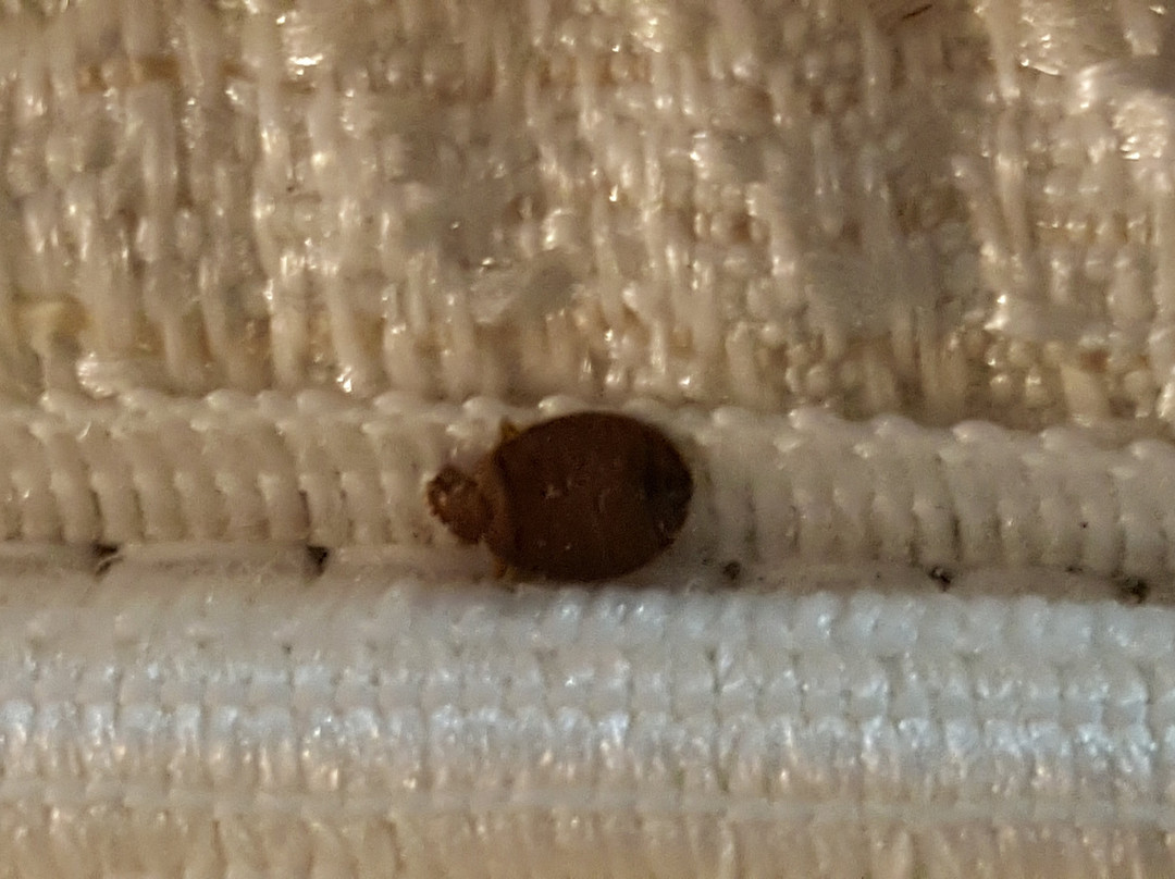 Texas Lodge Kenedy主图