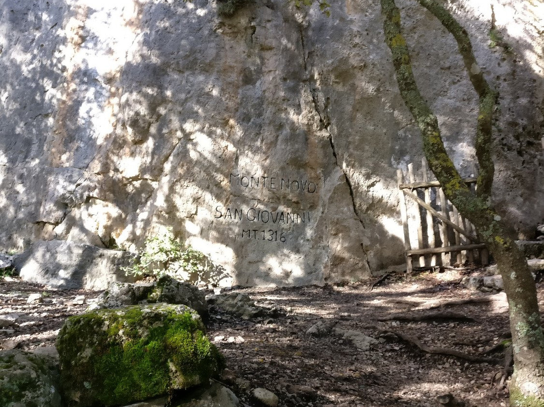 Foresta di Montes-Orgosolo必去景点