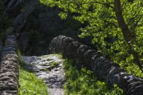 Puente de Sant Antoni de la Grella-马萨纳必去景点