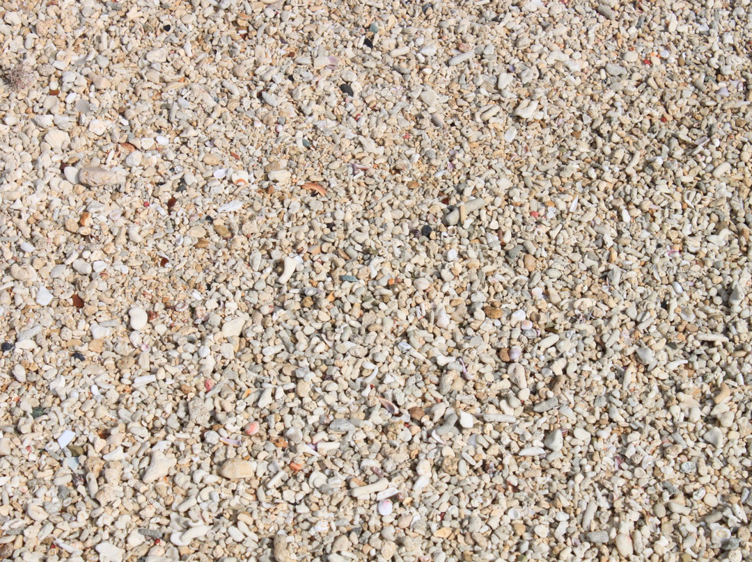 Yakomo Beach景点图片