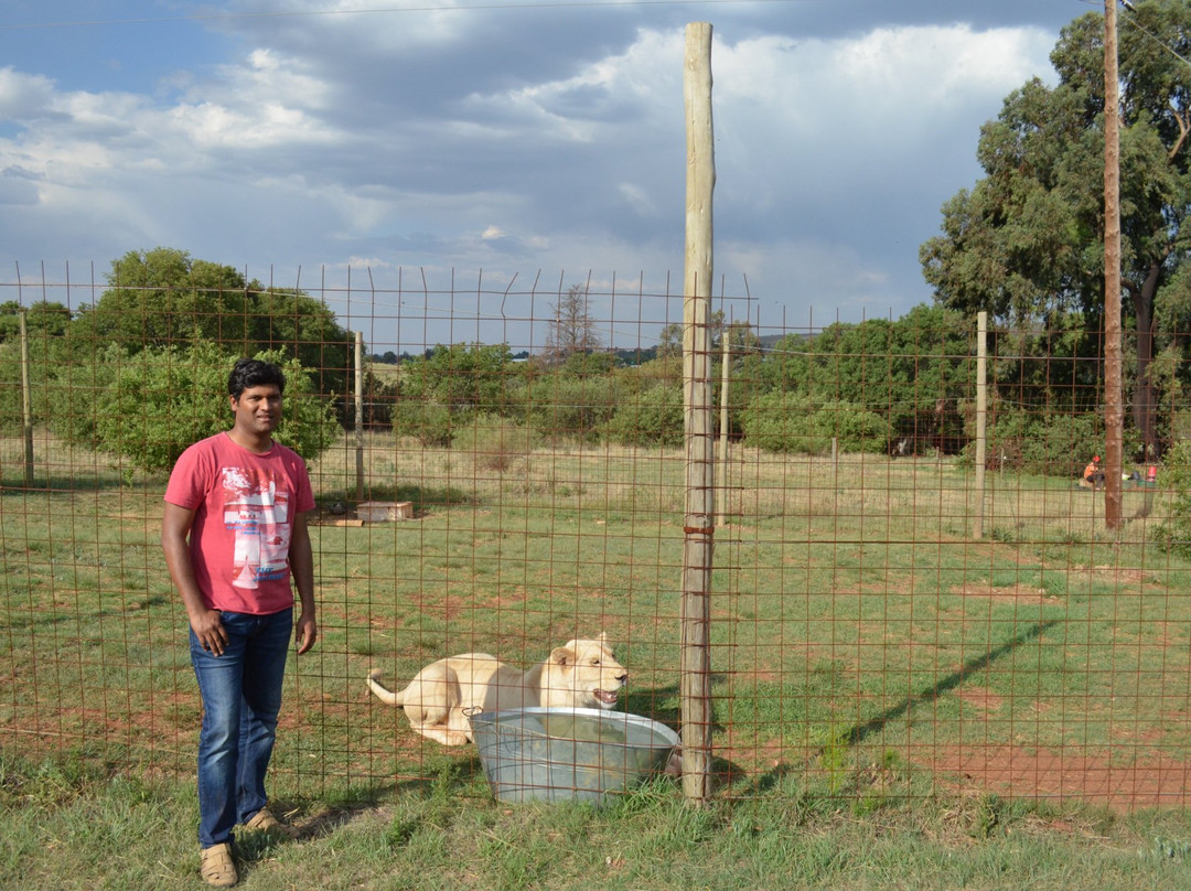 Jugomaro Predator Park-Groblersdal必去景点
