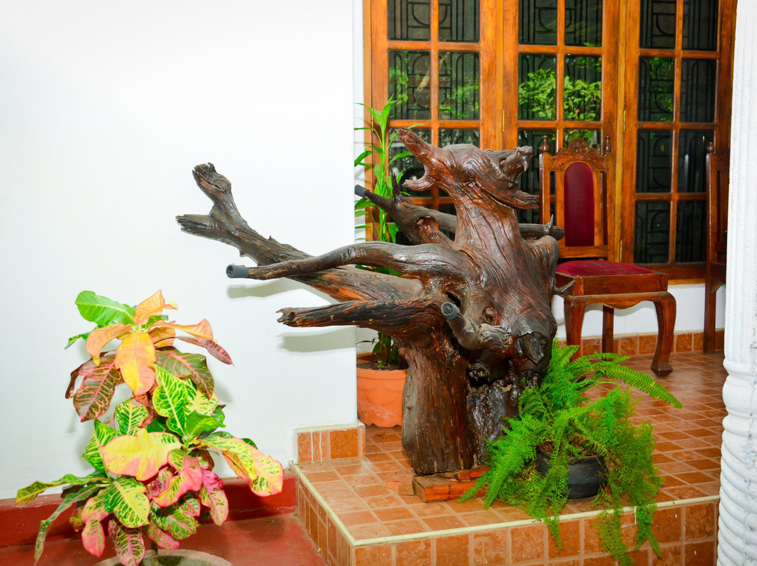 Hotel Summer Village主图