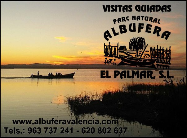 Visitas Guiadas Albufera P.N. El Palmar景点图片