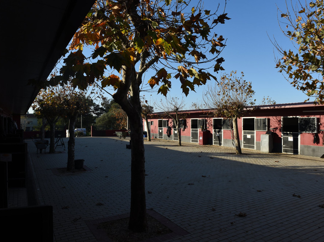 Centro Hipico da Costa do Estoril-卡斯凯什必去景点