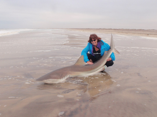 Aquanaut Tours-斯瓦科普蒙德必去景点