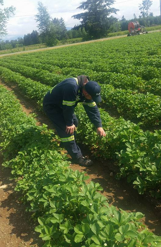 Driediger Farms-Langley必去景点