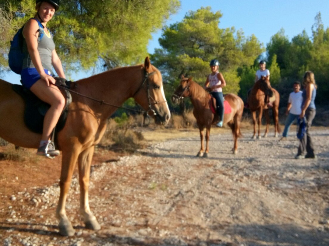 Gregs Spetses Horses-斯派采必去景点