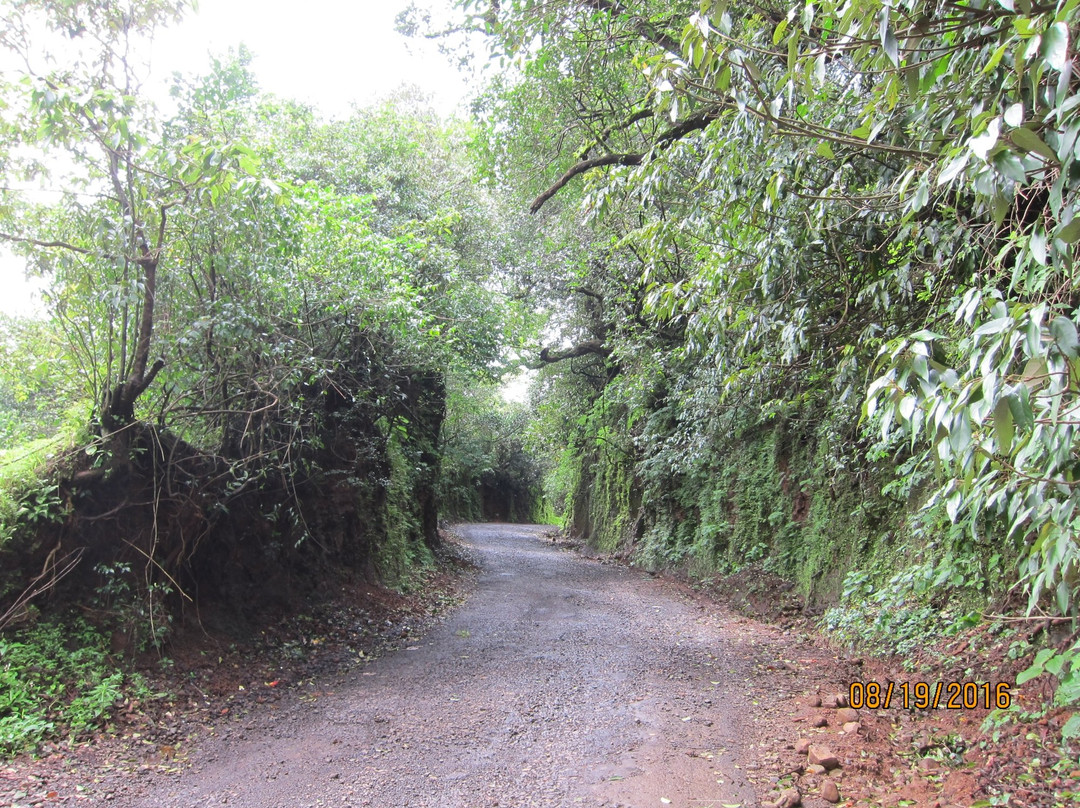 Vishalgad Fort-戈尔哈布尔必去景点