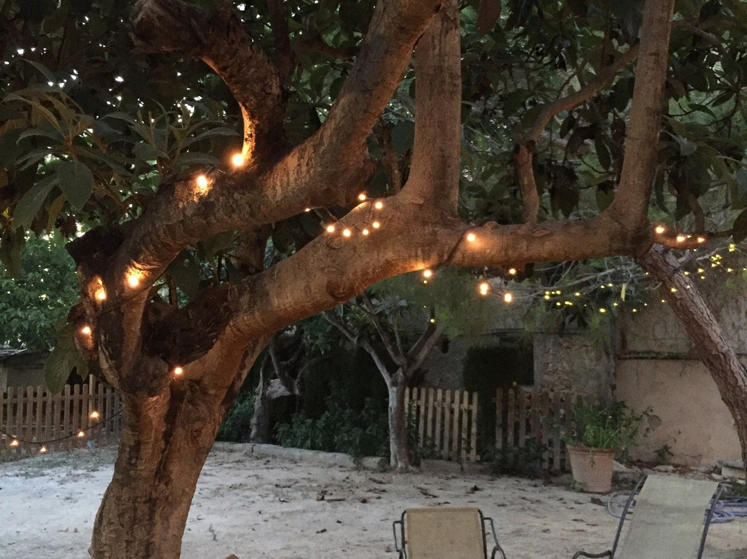 Granja San Miguel主图