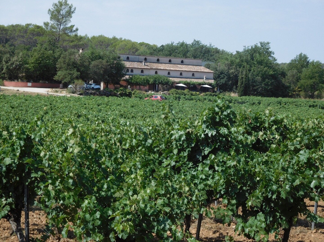 Château Carpe Diem景点图片