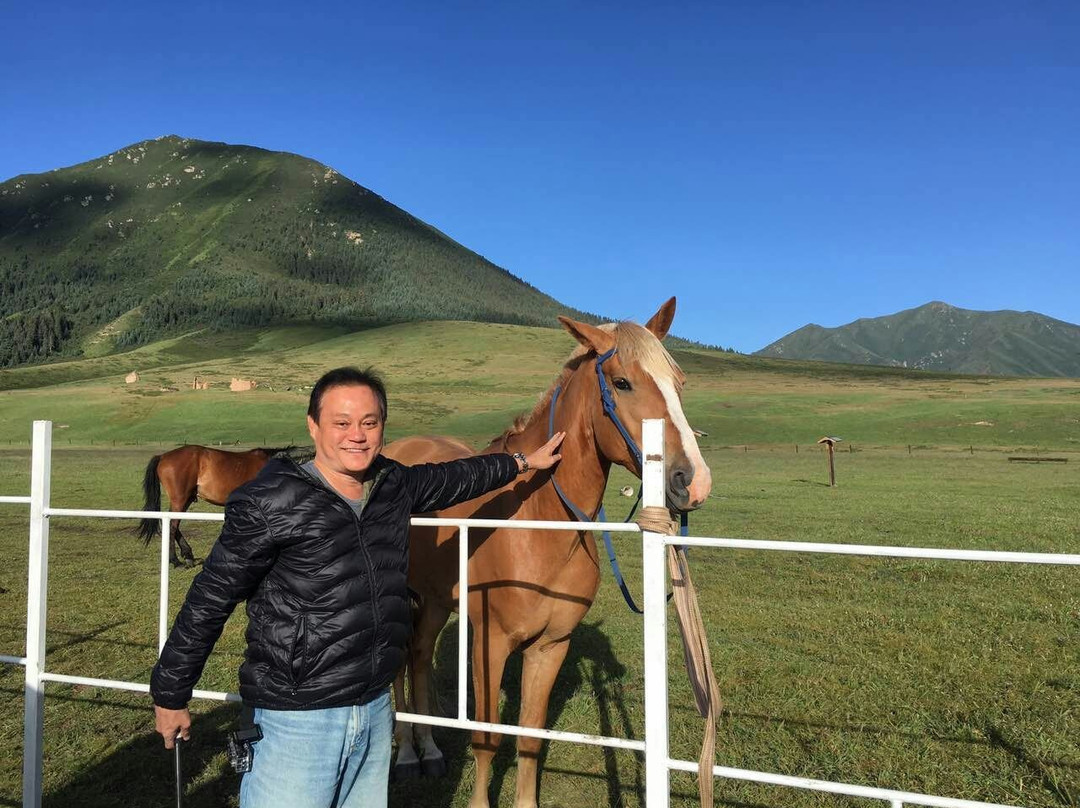 山丹军马场景点图片
