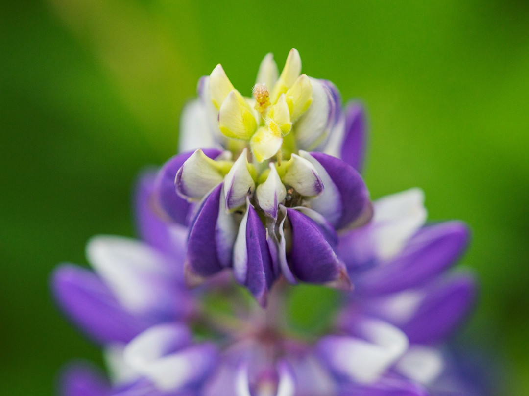 PEI  Photography Tours-Souris必去景点