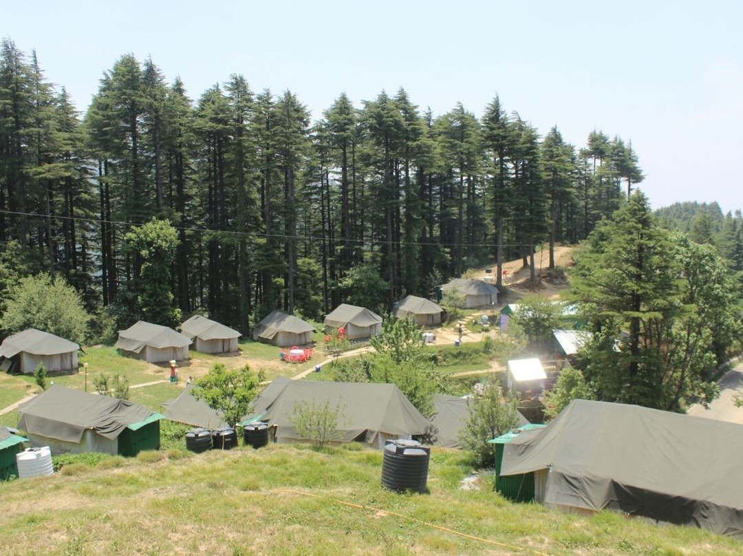 Camp Carnival