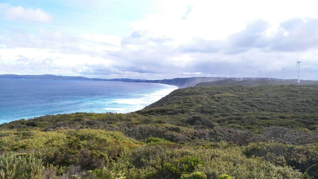 奥尔巴尼旅游景点-Albany Wind Farm