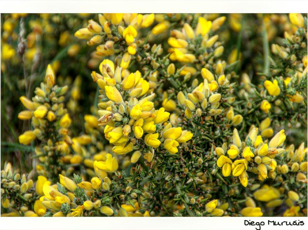 Ruta del Cantabrico-卢戈省必去景点