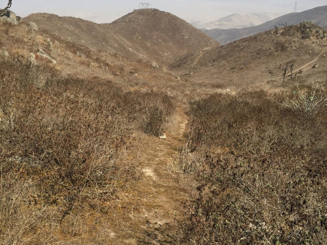 Lomas de Asias-利马必去景点