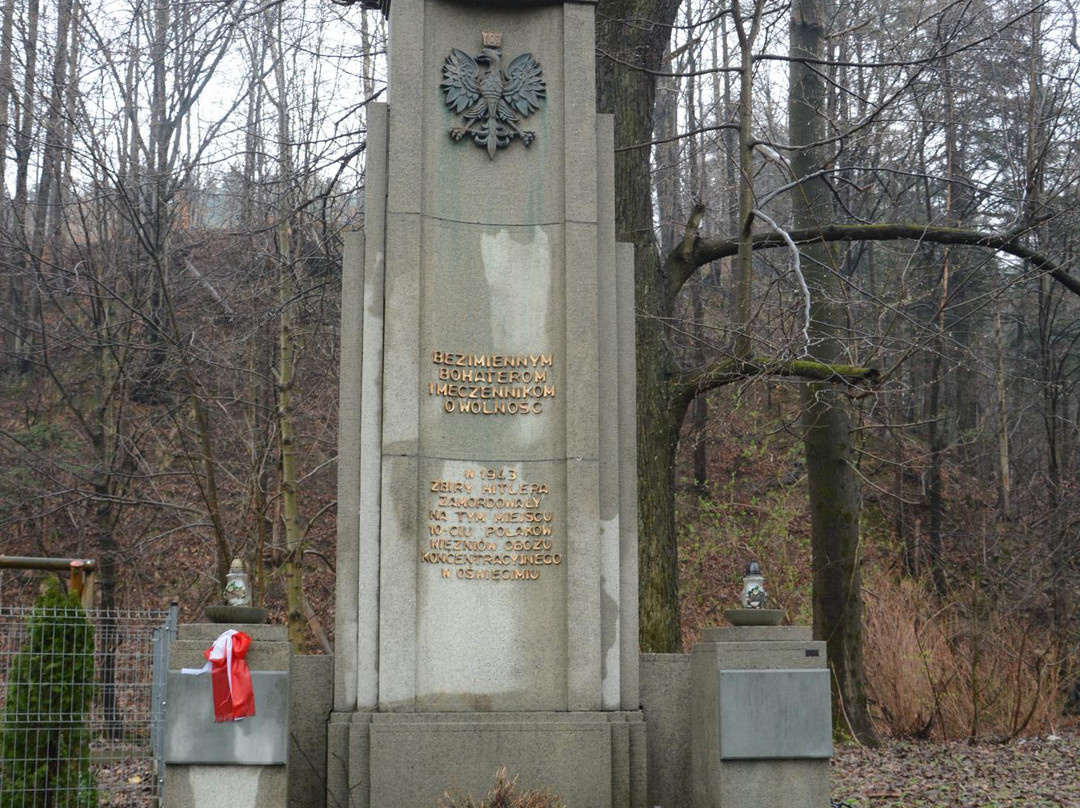 Monument to the Auschwitz Prisoners景点图片