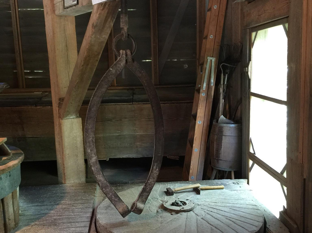 Georgia Museum of Agriculture and Historic Village-蒂夫顿必去景点