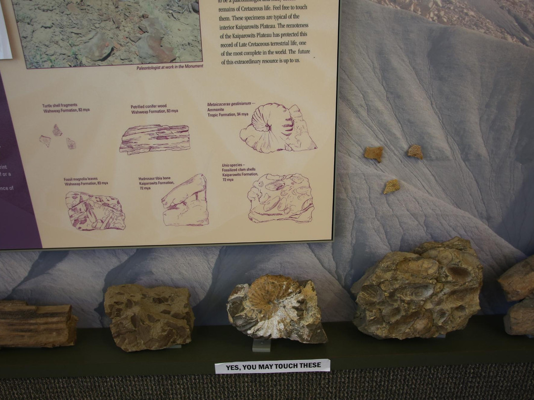 Big Water Visitor Center-比格沃特必去景点