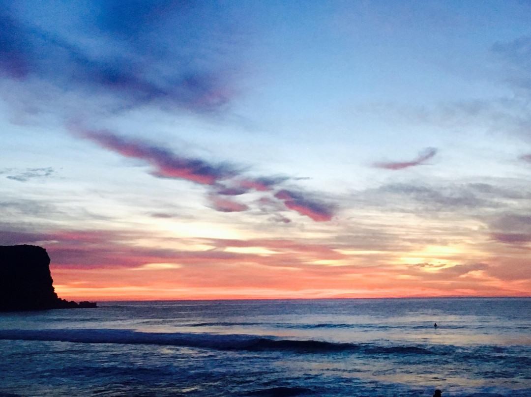 Avalon Beach Backpackers
