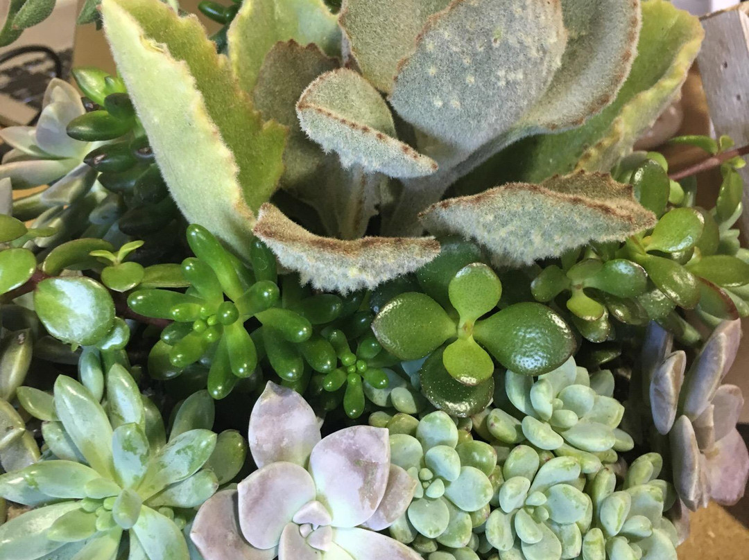 The Market At Pepper Place-伯明翰必去景点