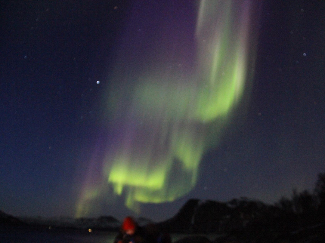 Wild Nordic Aurora Safari景点图片