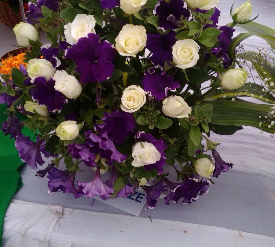 Paradice Ice Skating Avondale-Avondale必去景点