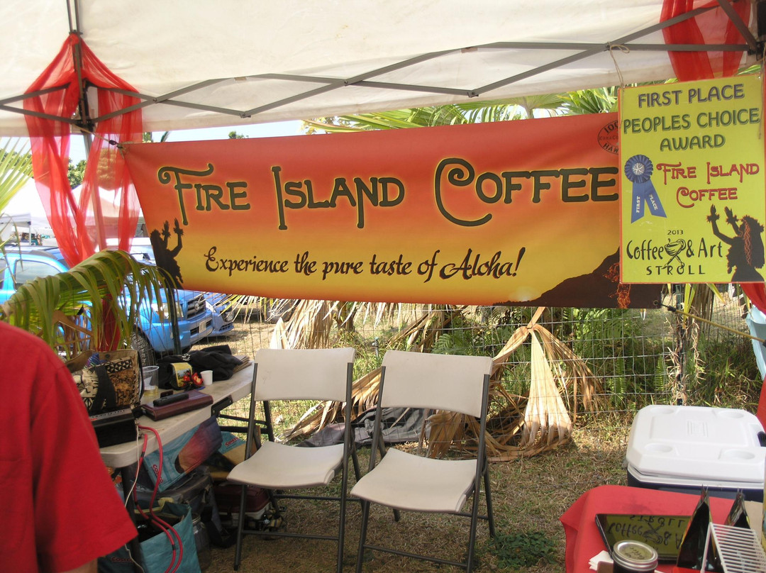 Fire Island Coffee-库克船长必去景点