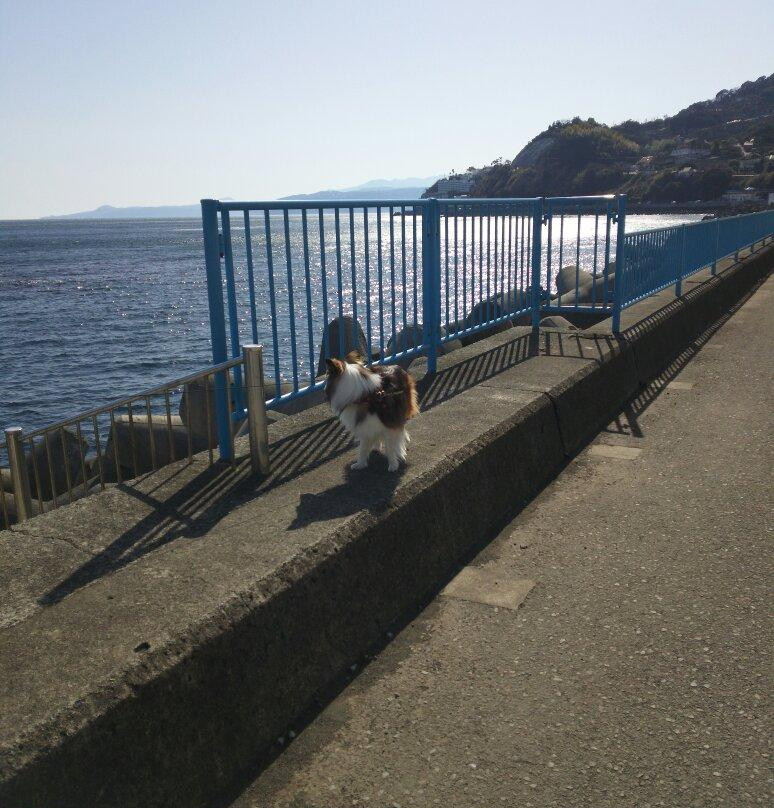 Seaside Park Yugawara-汤河原町必去景点