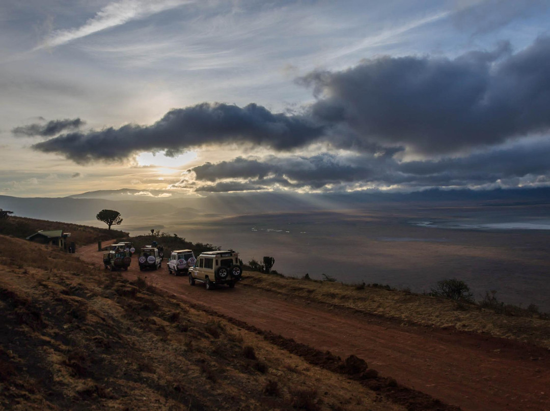 Afrishare Trekking and Safaris-莫西必去景点