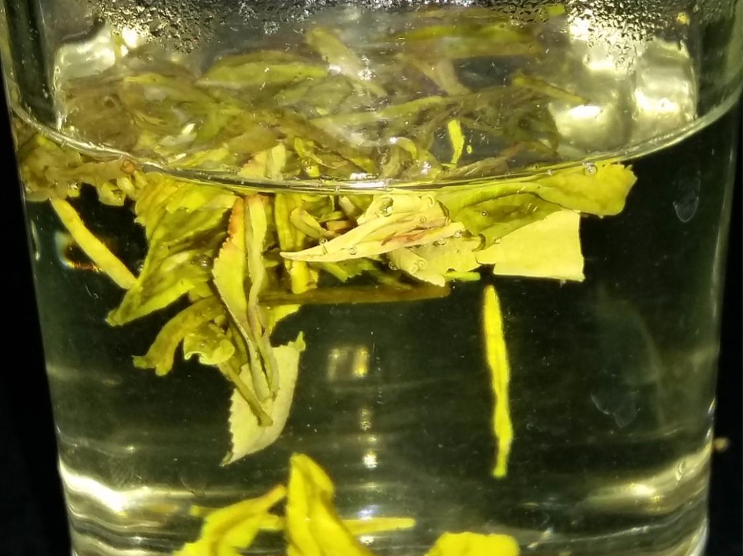 白居易故居-洛阳市必去景点