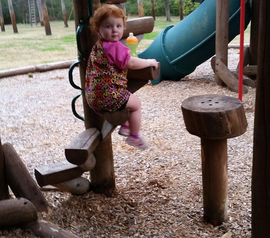 Treetop Adventure Park-纳什维尔必去景点