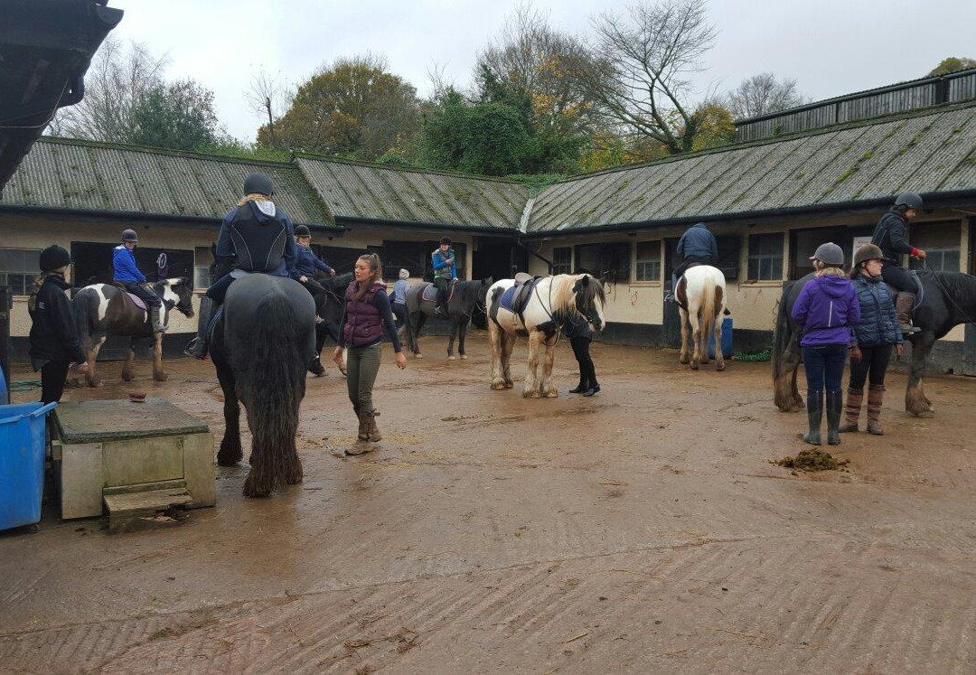 Quantock Trekking景点图片