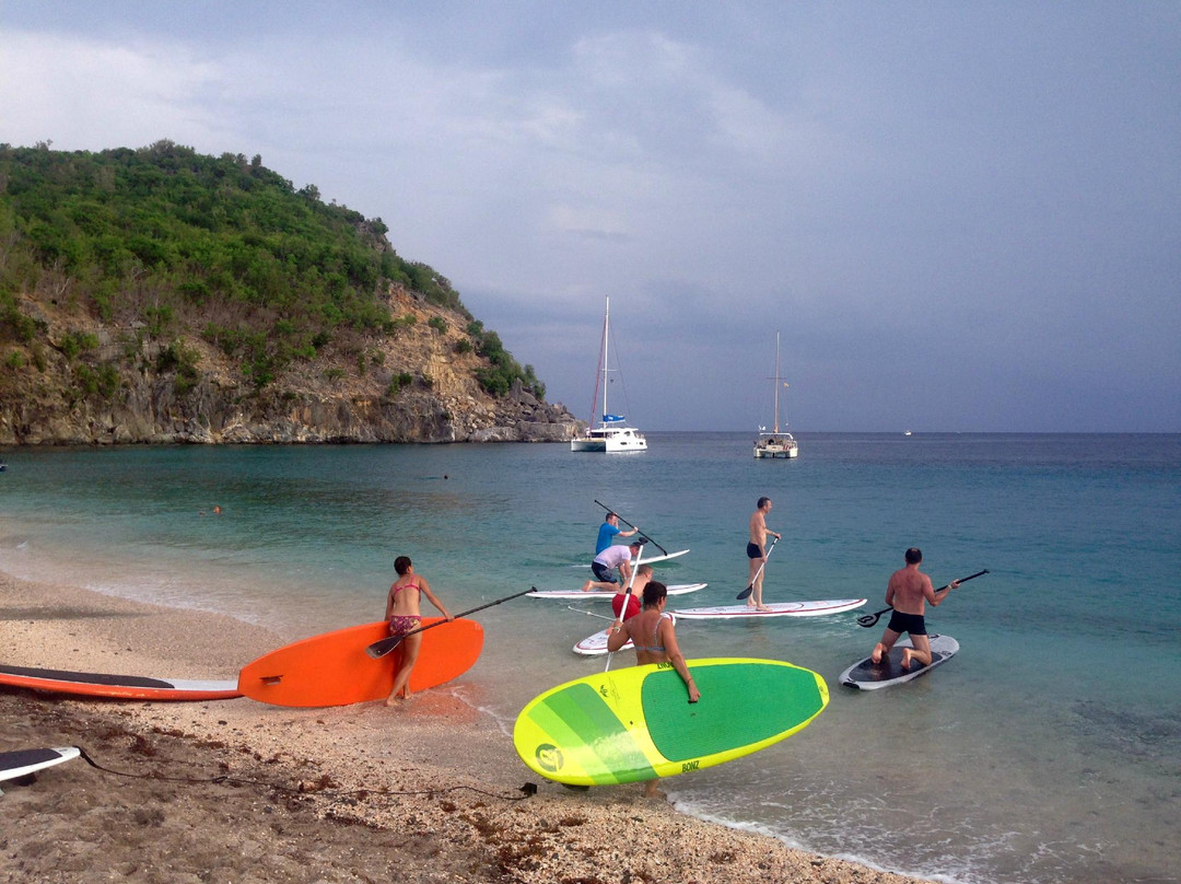 Stand up Paddle Adventure-居斯塔维亚必去景点