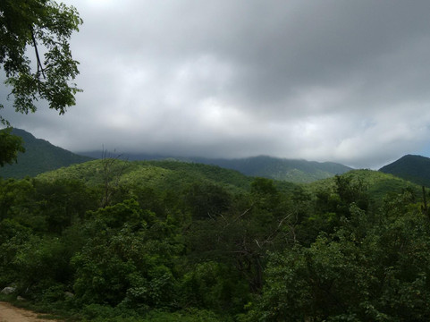 Sierra de la Laguna Mountains-洛斯卡布斯必去景点