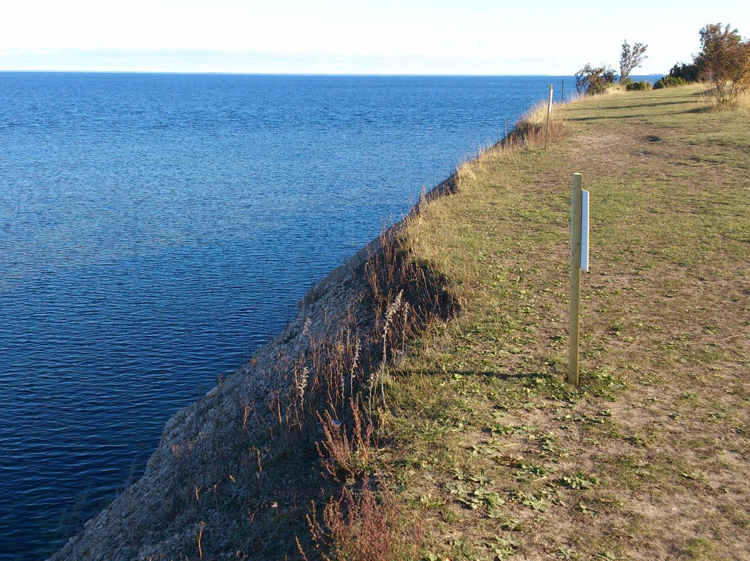 Panga旅游攻略图片