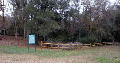 Hinson Conservation and Recreation Area景点图片