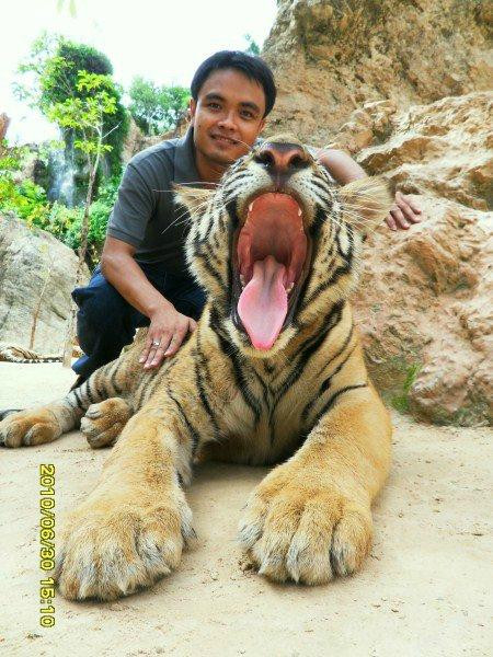 Paramount Travel - Private Day Tours景点图片