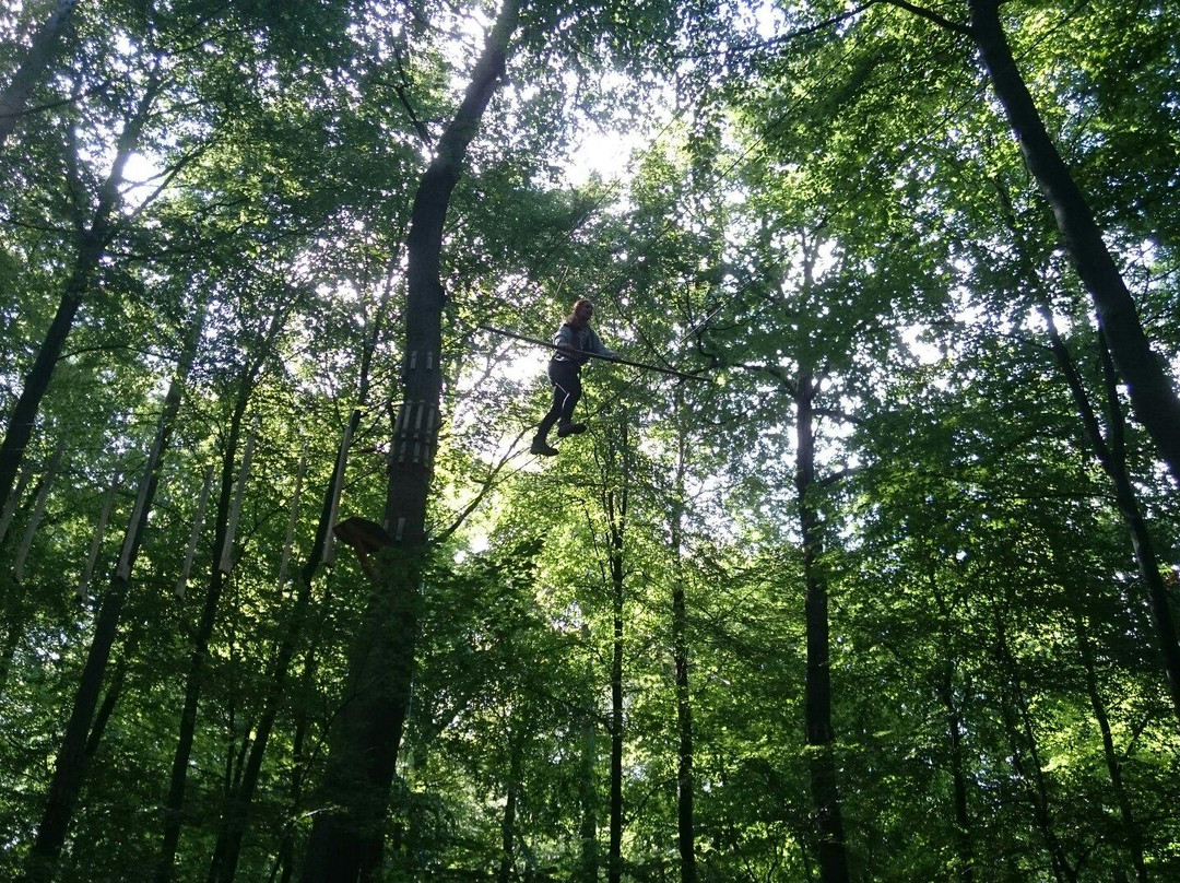 Wald-Abenteuer Bad Neuenahr-巴特诺因阿尔－阿尔韦勒必去景点