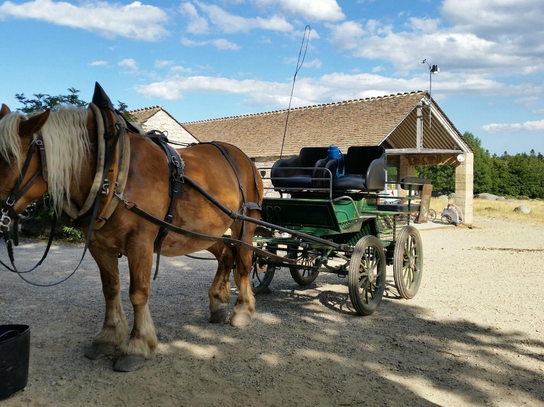 Le Mas de la Barque