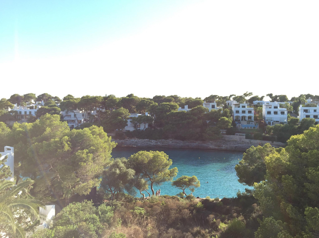 Playa Cala Gran景点图片
