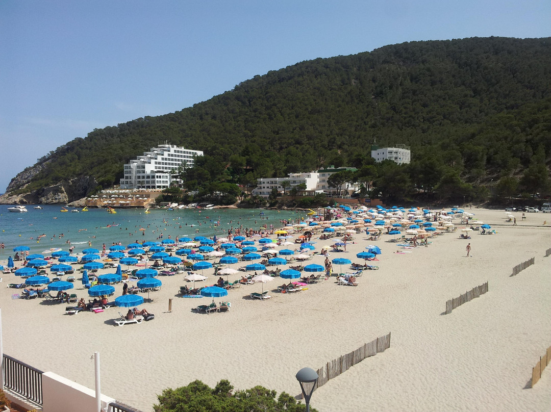 Playa Cala Llonga-Cala Llonga必去景点