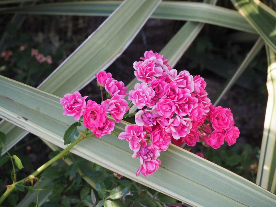 B&B La Torre in Pietra主图