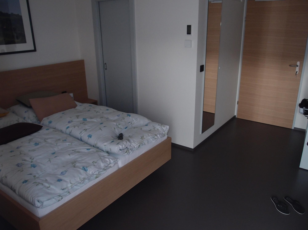 Haus Hoher Markt主图