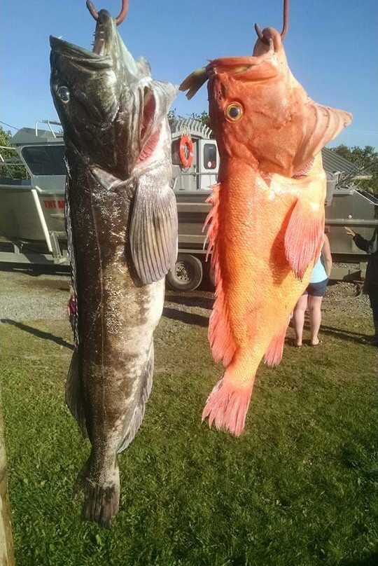 TNT Adventures-尼尔奇克必去景点