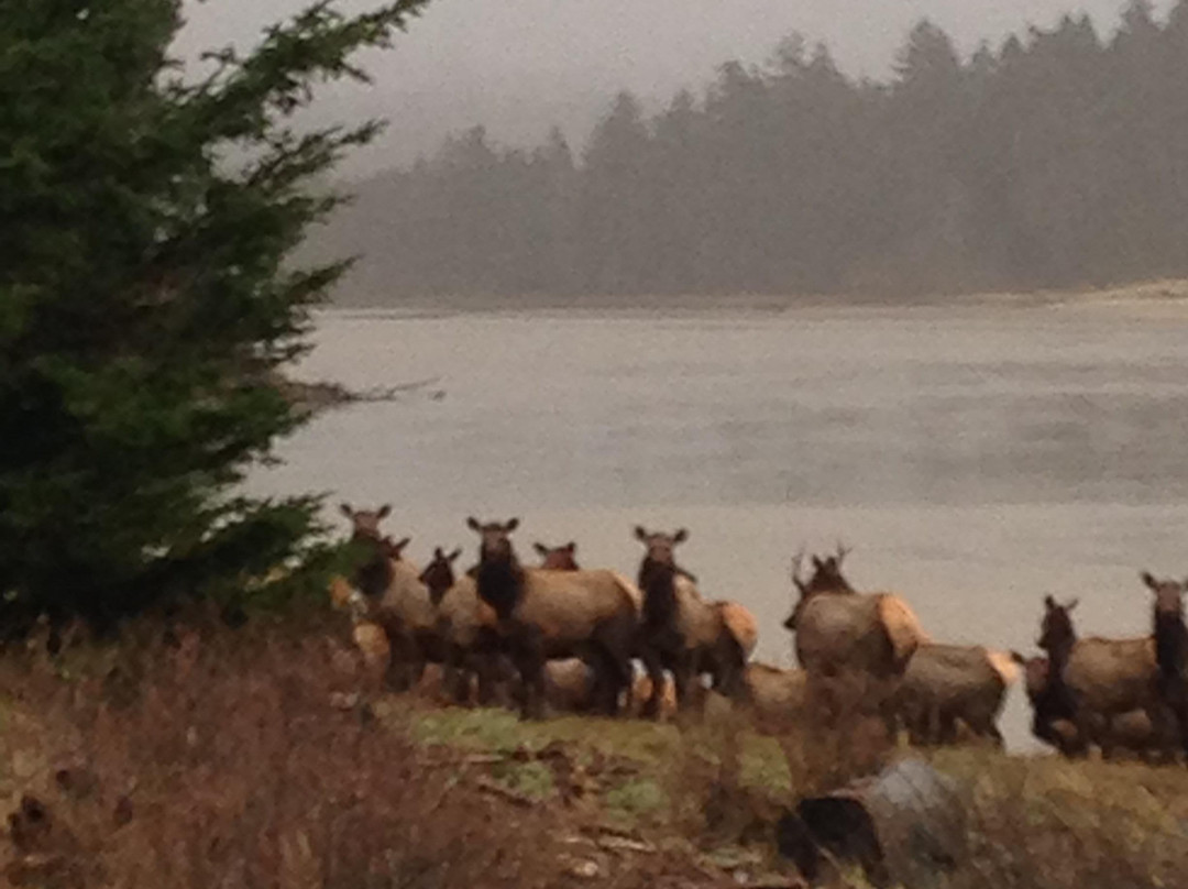 Cascade Head Trail-Otis必去景点