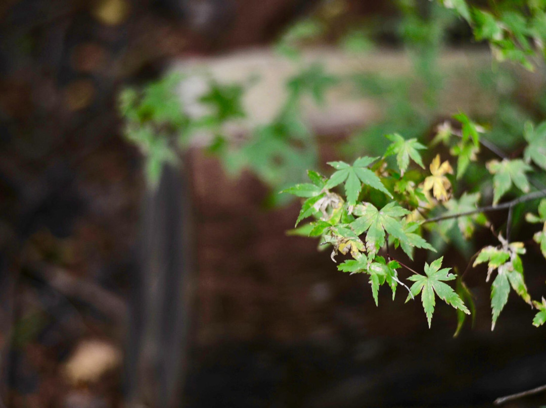 Wildwood Gardens景点图片