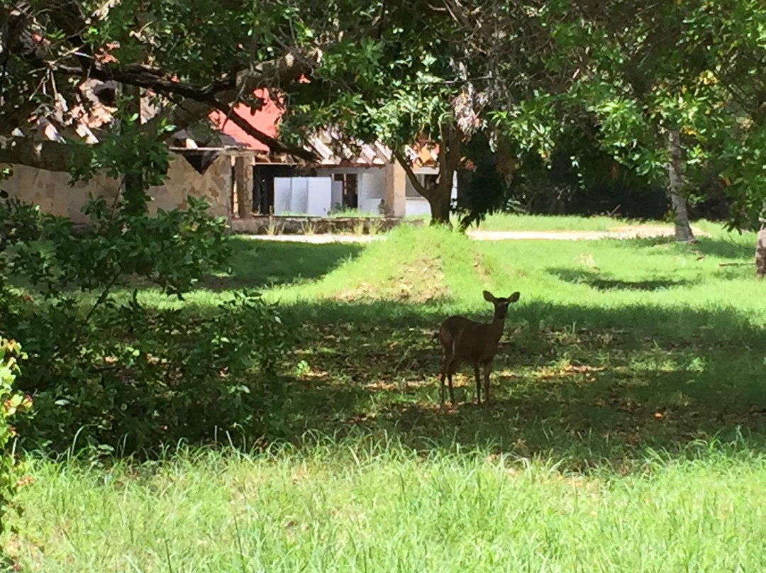 Contadora Island Tours-Contadora Island必去景点