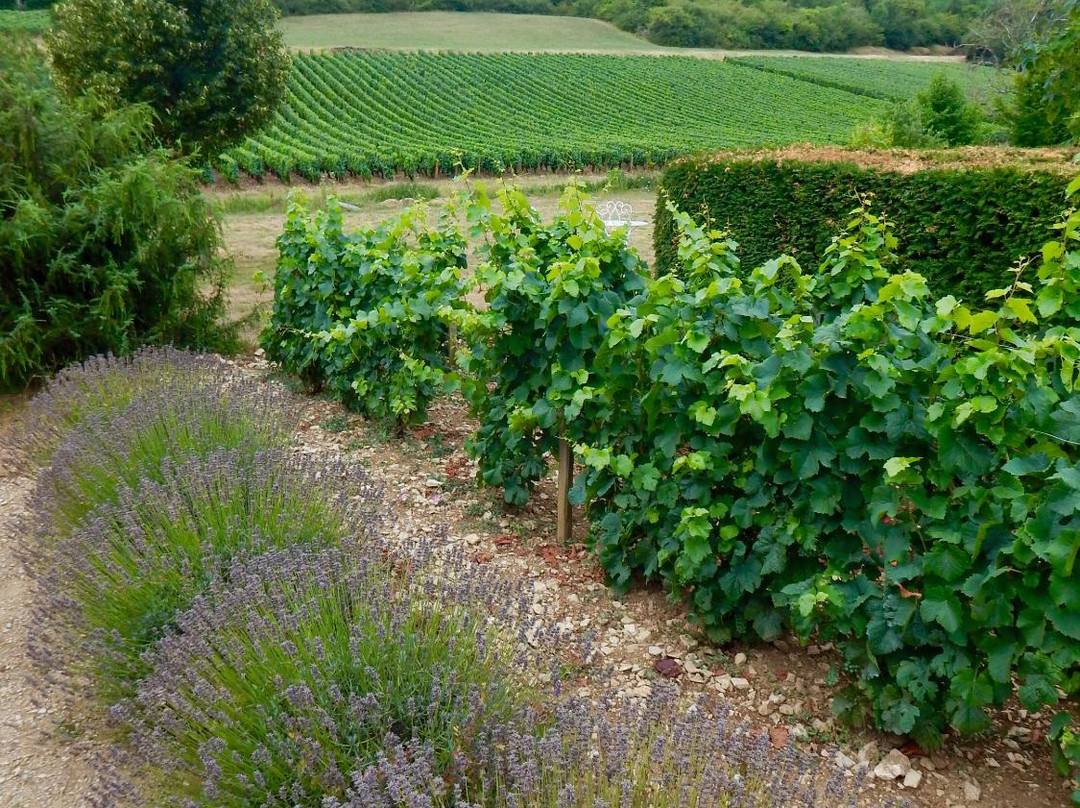 Mavilly-Mandelot酒店住宿-Domaine de la Combotte